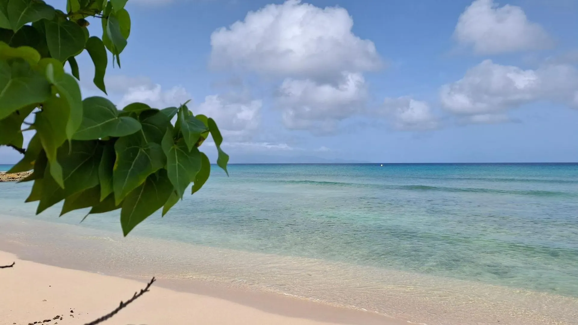 Le Havre Du Voyageur - Hibiscus Villa Le Moule Holiday home