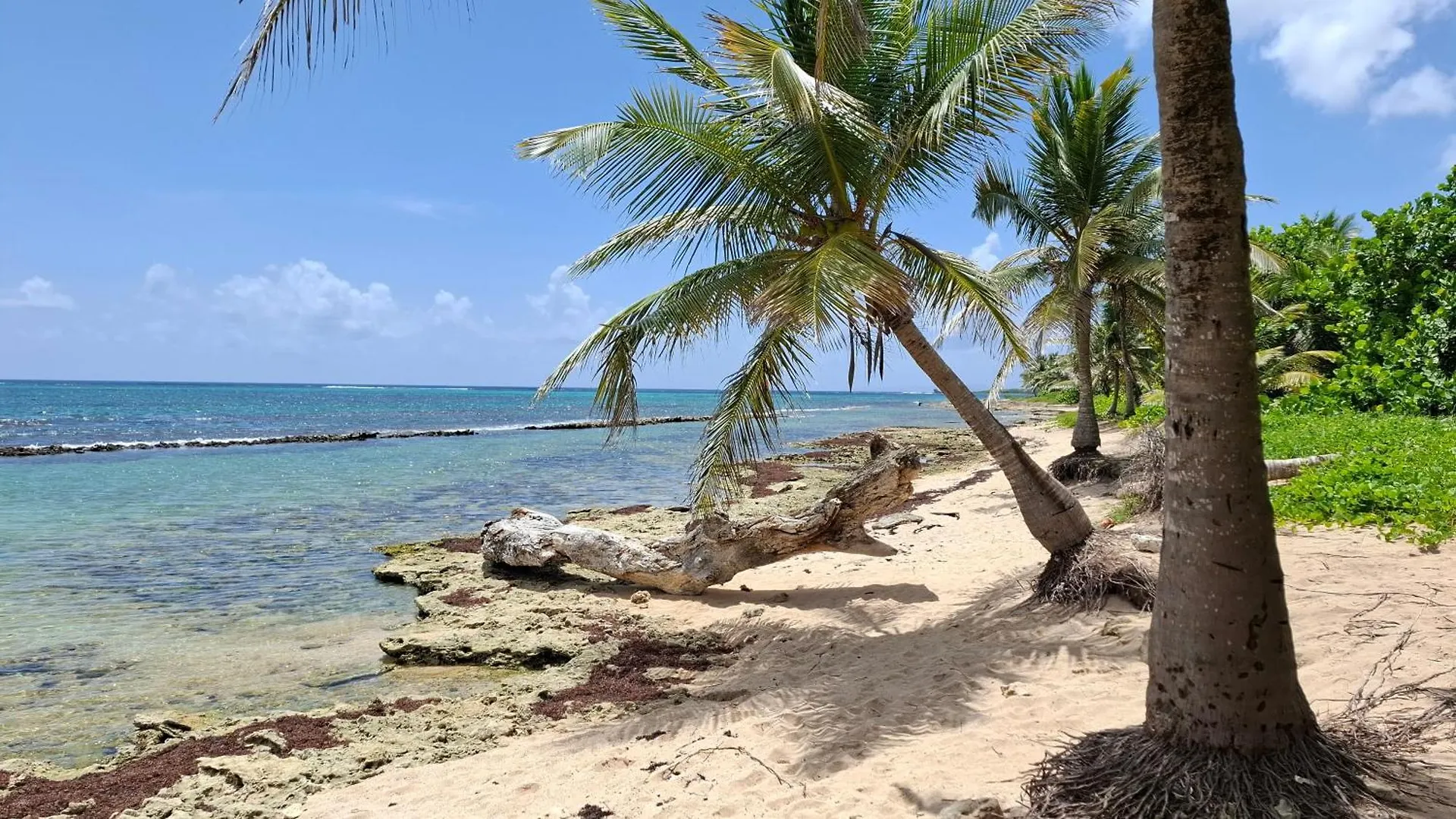 Le Havre Du Voyageur - Hibiscus Villa Le Moule 0*,  Guadeloupe